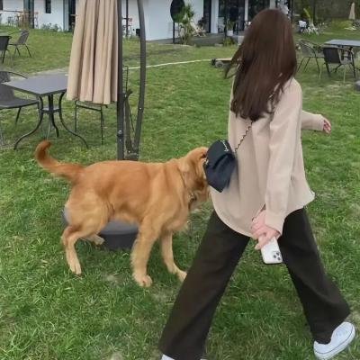 迷惘之城：好莱坞